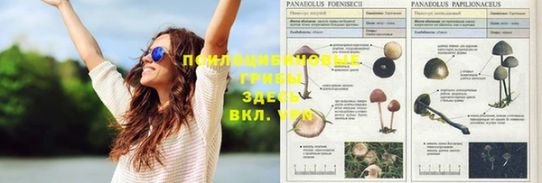 кристаллы Волоколамск