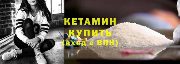прущие грибы Верея