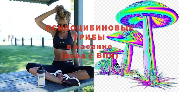 СК Верхний Тагил