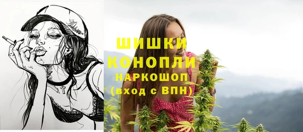 герыч Бронницы
