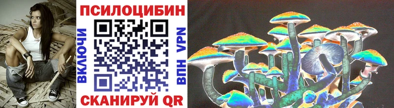 Купить где  Киренск  Псилоцибиновые грибы Cubensis 